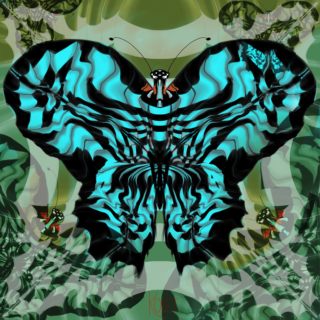 butterfly illusive